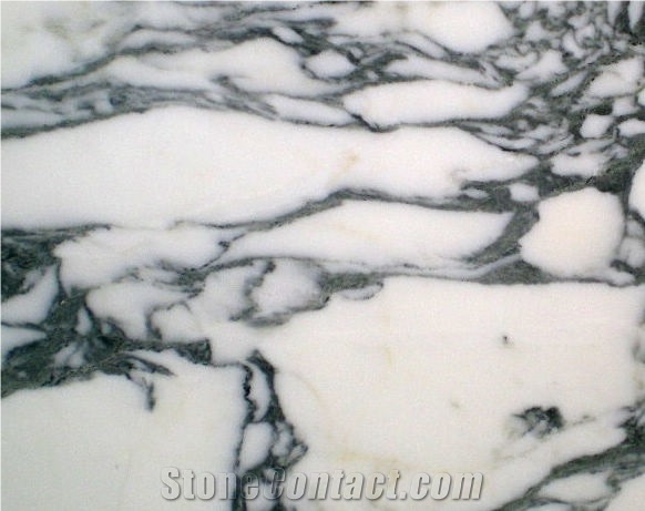 Arabescato Faniello Marble Slabs & Tiles, Italy White Marble