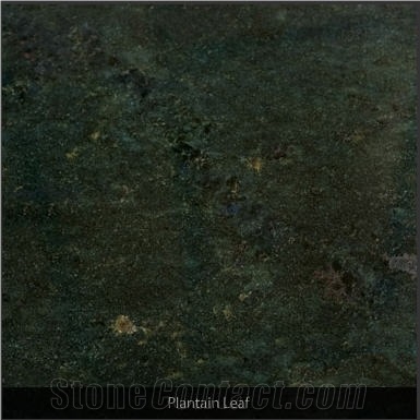 Plantain Leaf Granite Slabs & Tiles