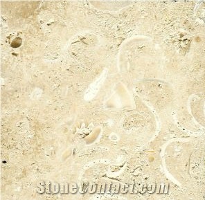 Coquina Shellstone Mexican Coral Stone Tiles, Mexico Beige Coral Stone