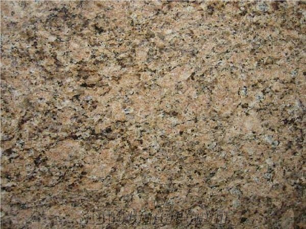 Giallo Veneziano Granite Stone, Imported Granite