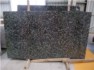 Nero Shell Black Marble