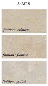 Hauteville Limestone- Layer B