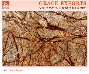 Rain Forest Brown Marble Slabs & Tiles, India Brown Marble