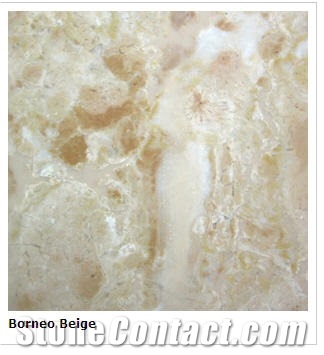 Borneo Beige Marble Slabs & Tiles, Malaysia Beige Marble