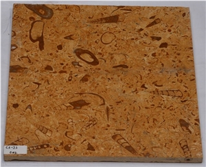 Golden Paradise Fossil Limestone