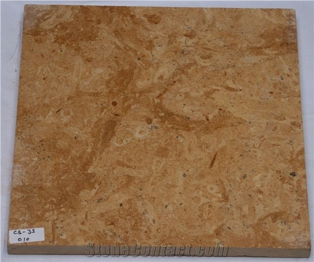 Ivory Gold Limestone Slabs & Tiles, Fossil Gold Limestone