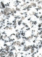 Arctic White Granite Slabs & Tiles