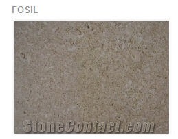 Fossil Limestone Slabs & Tiles, Spain Beige Limestone