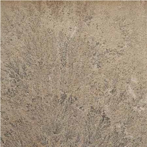 Fossil Sandstone Slabs & Tiles, India Beige Sandstone