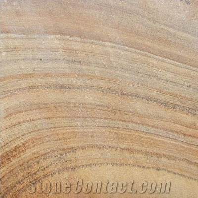 Fossil Sandstone Slabs & Tiles, India Beige Sandstone