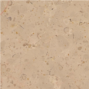 Comblanchien Limestone Slabs & Tiles, France Beige Limestone