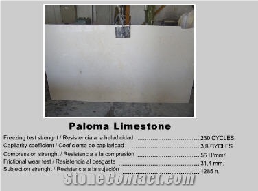 Paloma Limestone Slab, France Grey Limestone
