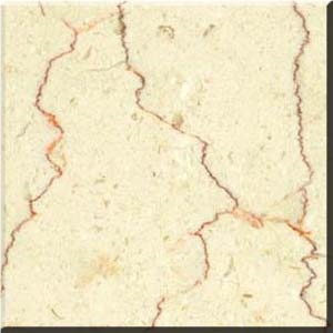 Iran Shell Beige Marble Slabs & Tiles