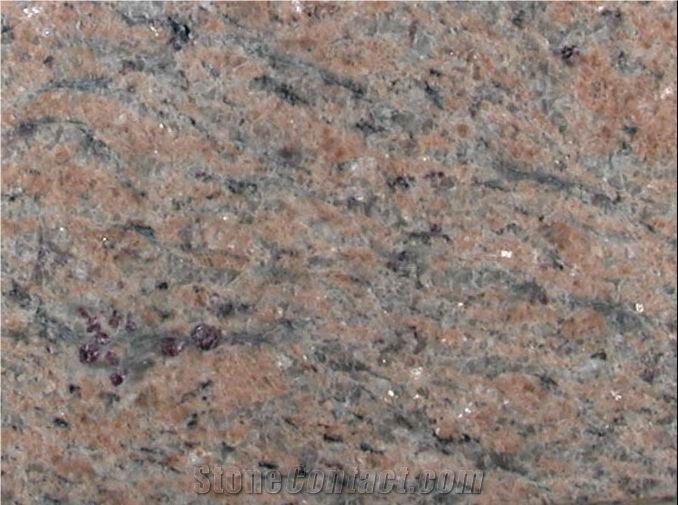 Giallo Alba Granite Slabs & Tiles