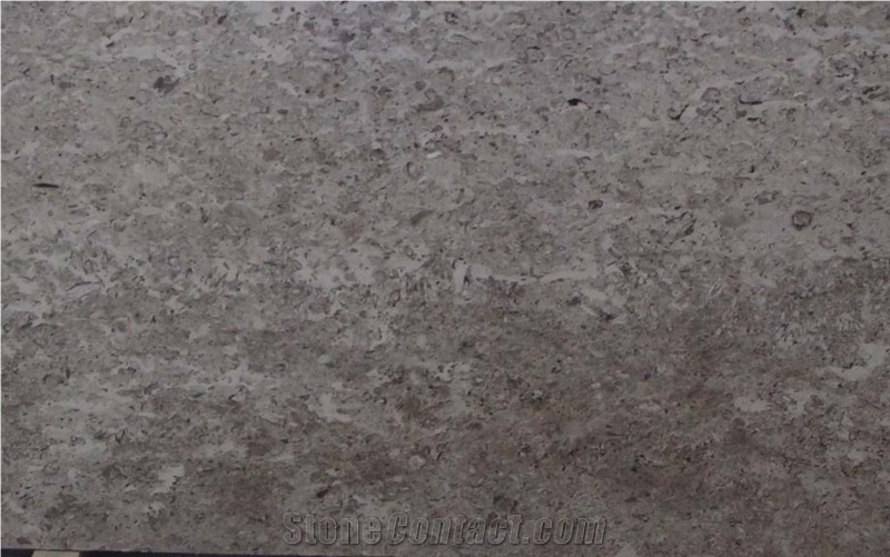 Italy Gray Marble Slabs & Tiles, China Grey Marble