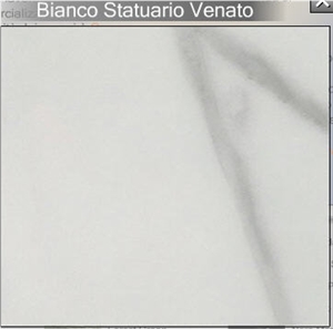 Statuario Venato Marble Slabs & Tiles, Italy White Marble