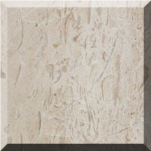 Beige Shell Marble Slabs & Tiles