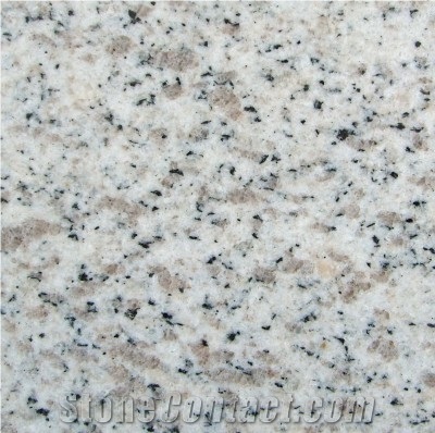 Salty White Granite Slabs & Tiles, China White Granite