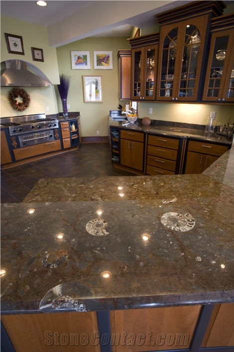 Etruscan Fossils in Marble Kitchen Top