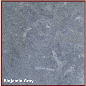 Binjamin Gray Limestone Slabs & Tiles