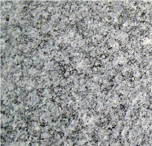 Shandong Sesame Grey Granite Slabs & Tiles, China Grey Granite