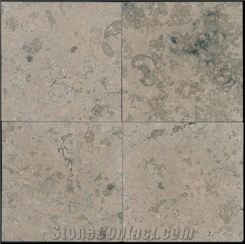 Teseo Limestone, Italy Grey Limestone Slabs & Tiles