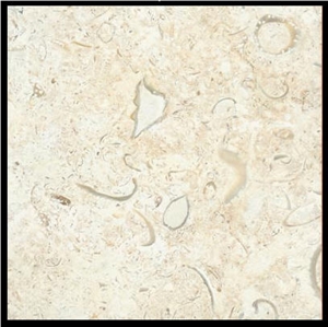 Coquina Shellstone Limestone Slabs & Tiles, Mexico Beige Limestone