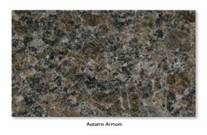 Autumn Armony Granite Slabs & Tiles