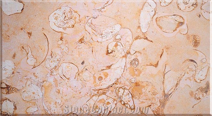 Sinai Desert Flower Marble Slabs & Tiles, Egypt Beige Marble