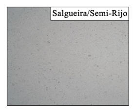 Salgueira- Semi Rijo Limestone
