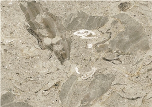 Aurisina Fiorita Limestone Slabs & Tiles, Italy Beige Limestone