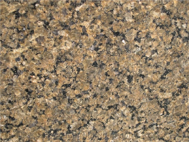 Tropic Brown Granite Slabs & Tiles, Saudi Arabia Brown Granite