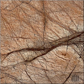 Cafe Forest Marble Slabs & Tiles, India Brown Marble