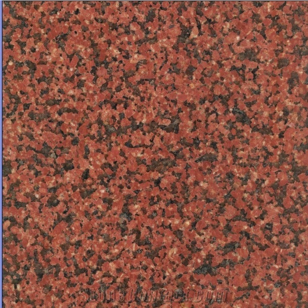 Cheap Chinese Red Granite Tianshan Red Granite Floor and Wall Tiles & Slab, China Red Granite