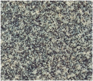 Gris Quintana Granite Slabs & Tiles, Spain Grey Granite