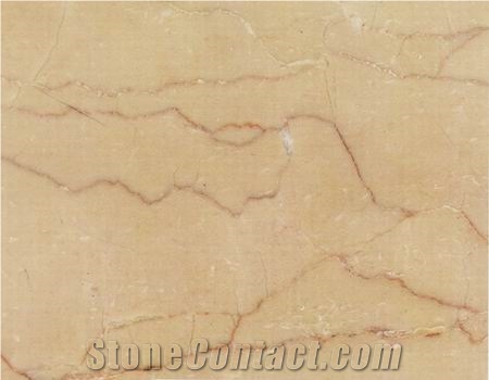 Golden Dragon Marble Wall Tile
