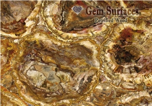 Petrified Wood Gemstone Slab & Tiles