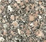 Giandona Granite Slabs & Tiles, Egypt Beige Granite