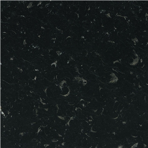 Marmol Negro Marble,Negro Caracol Marble Tile