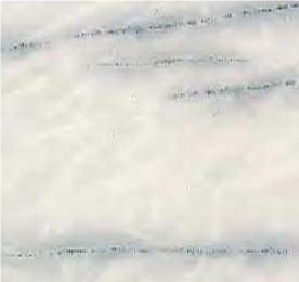 Ziarat White Marble Slabs & Tiles, Pakistan White Marble