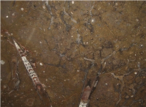 Fossil Brown, Morocco Brown Limestone Slabs & Tiles