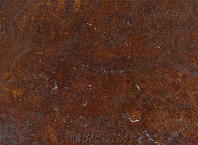 Oak Bamboo Quartzite Slabs & Tiles, Brazil Brown Quartzite