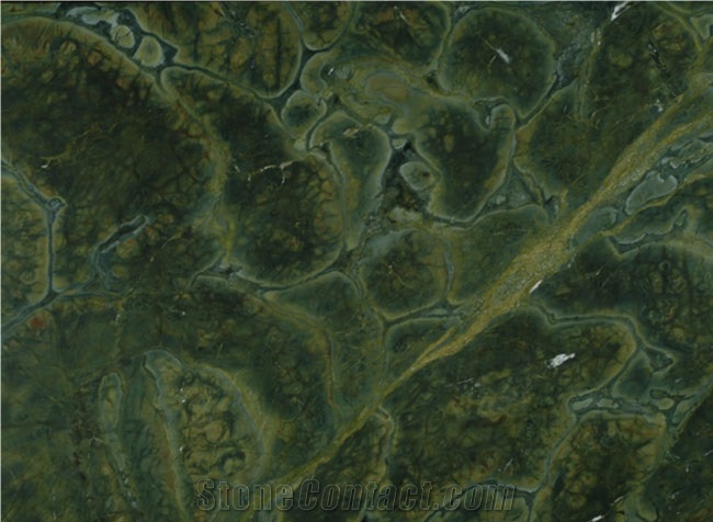 Vitoria Regia Quartzite, Brazil Green Quartzite Slabs & Tiles
