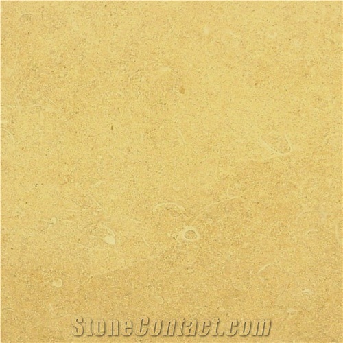 Ramon Gold, Israel Yellow Limestone Slabs & Tiles