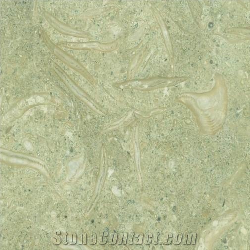 Turquoise Limestone Slabs & Tiles, Turkey Green Limestone