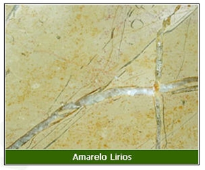 Amarelo Lirios Limestone Slabs & Tiles
