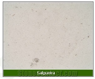 Salgueria Limestone Slabs & Tiles