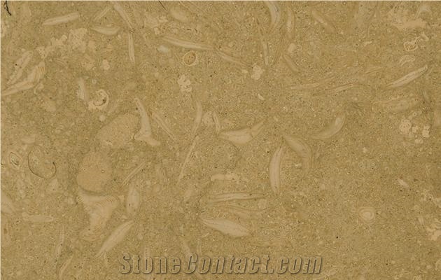 Pewter Fossil Limestone Slabs & Tiles