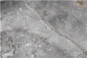 Fior Di Bosco Marble Slabs & Tiles, Italy Grey Marble
