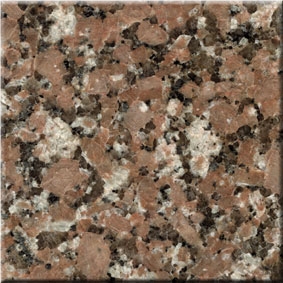 Marron Castor Granite Slabs & Tiles, Brazil Brown Granite